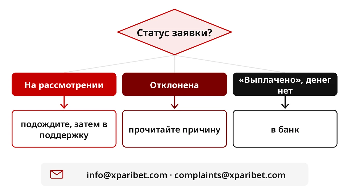 Что делать, если вывод с Xparibet не пришёл: схема по статусу заявки и контакты поддержки